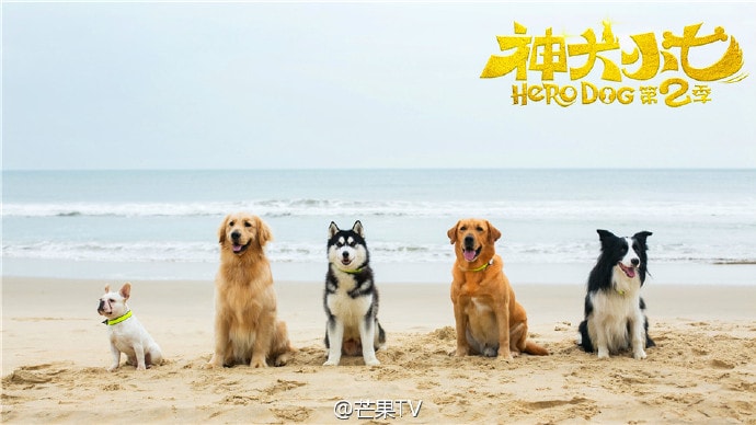 http://www.omega3-ala.com/pics/default/download/bbc164f1121fcfeb3d0a51a241bf0328.jpg