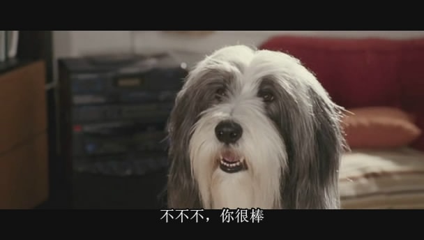 http://www.omega3-ala.com/pics/default/download/bc4b71760b1b36880c1371a92ccb644b.jpg