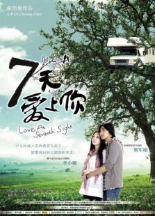 7天愛上你