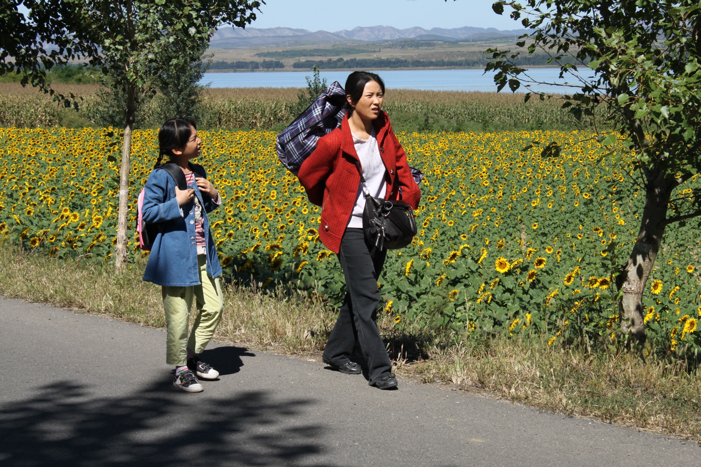 http://www.omega3-ala.com/pics/default/download/bd20b952bd9a136fae981f16f14b9f82.jpg
