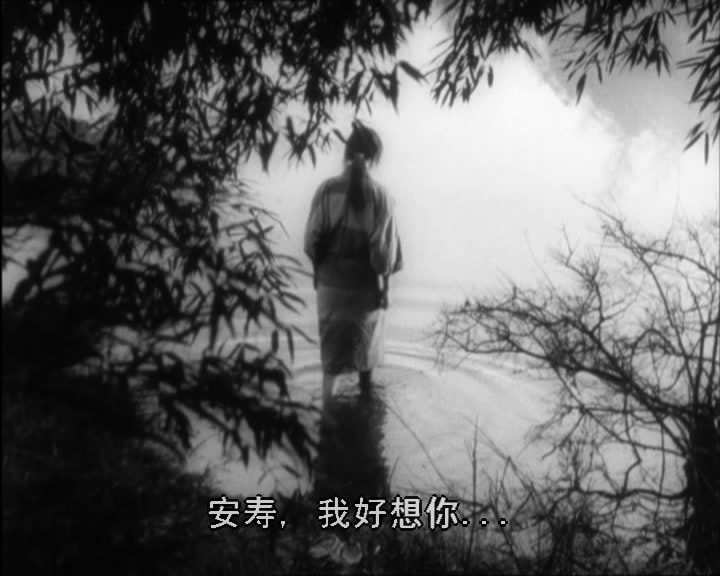 http://www.omega3-ala.com/pics/default/download/bd391c247cbbc3f546a358cbe5d338d0.jpg