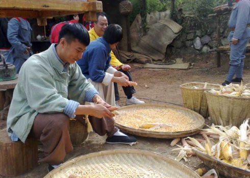 http://www.omega3-ala.com/pics/default/download/bddce5f08a57e1b0e803a42d10cd6b86.jpg