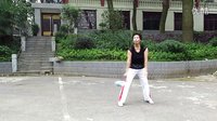 汪麗明學習演示柔力球【十五的月亮】