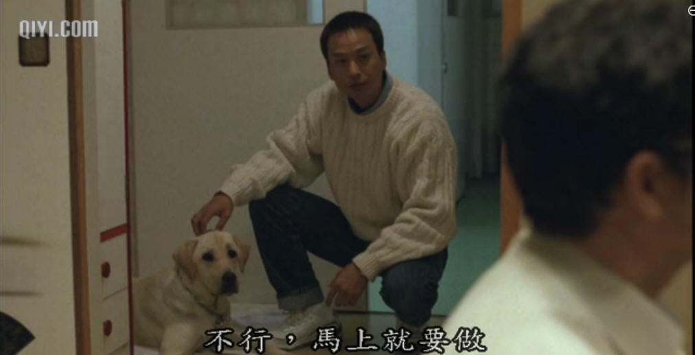 導盲犬小Q 精彩圖冊