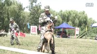 《神犬奇兵》之《步槍成長篇》