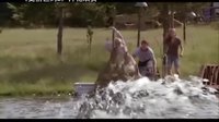 【看大片】史前巨鱷2Lake Placid 2 (2007)中文預(yù)告