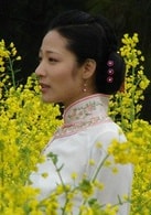秦麗
