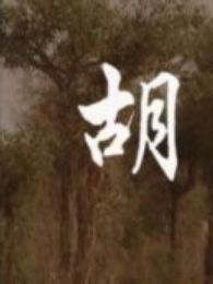 胡楊
