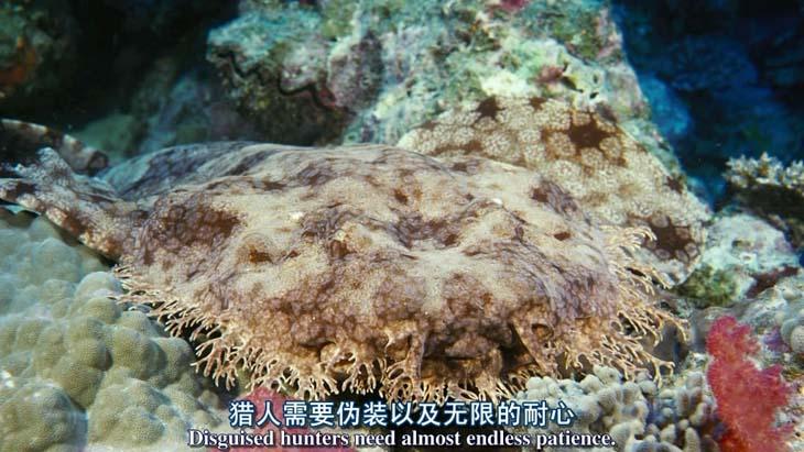 http://www.omega3-ala.com/pics/default/download/bf9b3c7d053429d56f8ff048daa99788.jpg