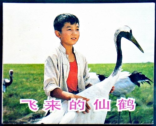 http://www.omega3-ala.com/pics/default/download/bfa0f0cd148b374fa4a05b9cc6ec55aa.jpg