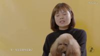 相跟之亞楠寵物店 我和笨笨的故事