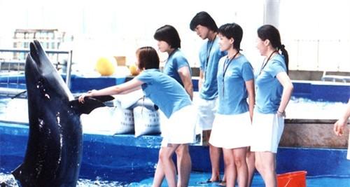 http://www.omega3-ala.com/pics/default/download/c1395ab213217c9dd0f3aebe0798448c.jpg