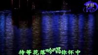 春花秋月濃_01