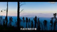 愛剪輯-作為一棵樹
