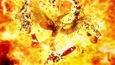 動態海報