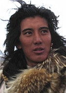 蒲巴甲