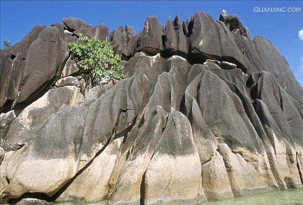 http://www.omega3-ala.com/pics/default/download/c239dd842cc1996076ef6d63f9f08a43.jpg