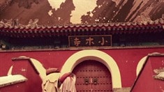 先行版預(yù)告片