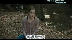 中文版預告片2