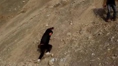 紀錄片之爆笑賣萌流傳瘋