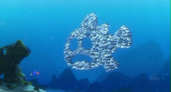 http://www.omega3-ala.com/pics/default/download/c355111278aef08b655e877db947a8d1.jpg