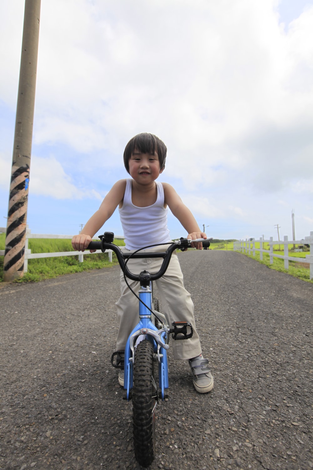 http://www.omega3-ala.com/pics/default/download/c3cabde6dd9a2a9d5dd960b9eec61f15.jpg
