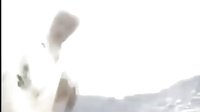 流星劍VS西門吹雪