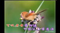 越劇《孔雀東南飛》人去樓空空寂寂伴奏(范瑞娟版