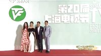 第20屆上海電視節(jié)紅毯 《花紅花火》劇組 22