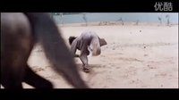 吳宇森《鐵漢柔情》劇場版預告片