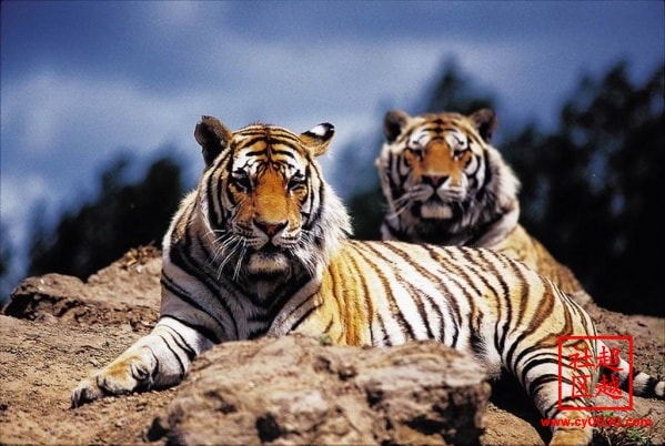 http://www.omega3-ala.com/pics/default/download/c6269b1e5cbf2cefb2d41f3315887936.jpg