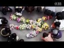《新迷宮先生》女歌星之死