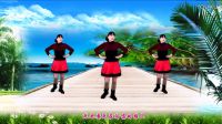 河北青青廣場舞《闖天涯》編舞：流星雨珍