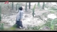 電視劇-《小白菜奇案》之楊大姐告狀