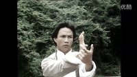 霍元甲VS宮本（黃元申版）