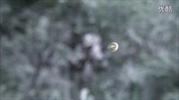 《狐影》片花