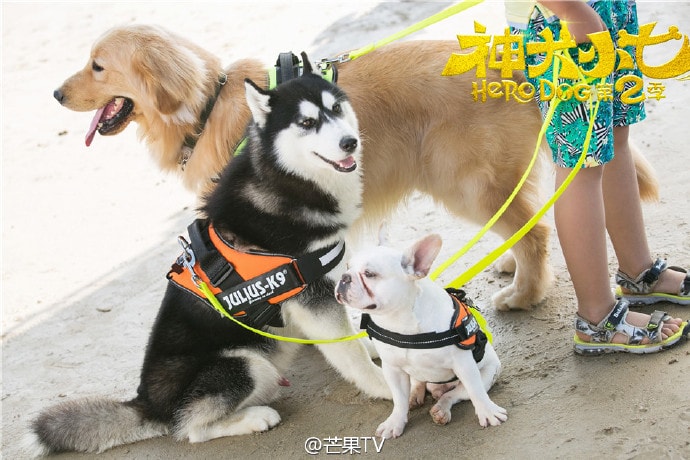 http://www.omega3-ala.com/pics/default/download/c79be2266789ecf425075b1b7ad8c4d4.jpg