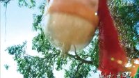 《新還珠格格》第二版片花震撼曝光