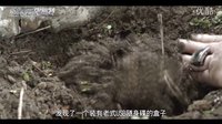 來自未來的史密特科幻版預告片