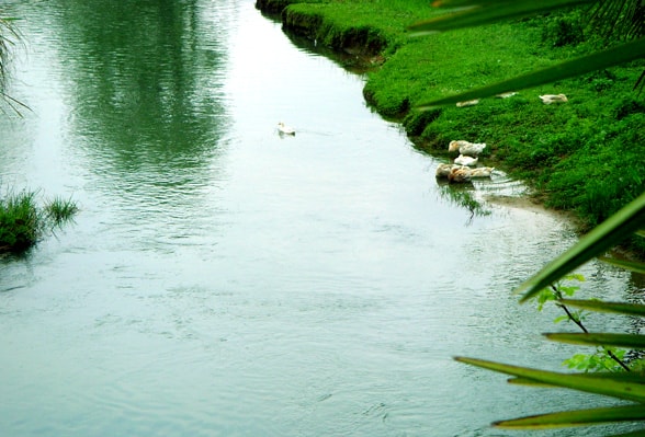 http://www.omega3-ala.com/pics/default/download/c88d5fac726e0f431167007fc67eccba.jpg