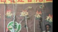 評劇名家愛派傳人張礪沄李香蓮賣畫選段報畫名