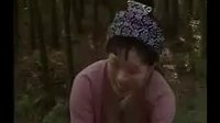 新天仙配之七仙女正傳(98年版)第17集_baofeng_標清