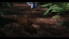 DVD/藍(lán)光發(fā)售預(yù)告片