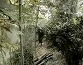 紅色兄弟連之閃電行動I