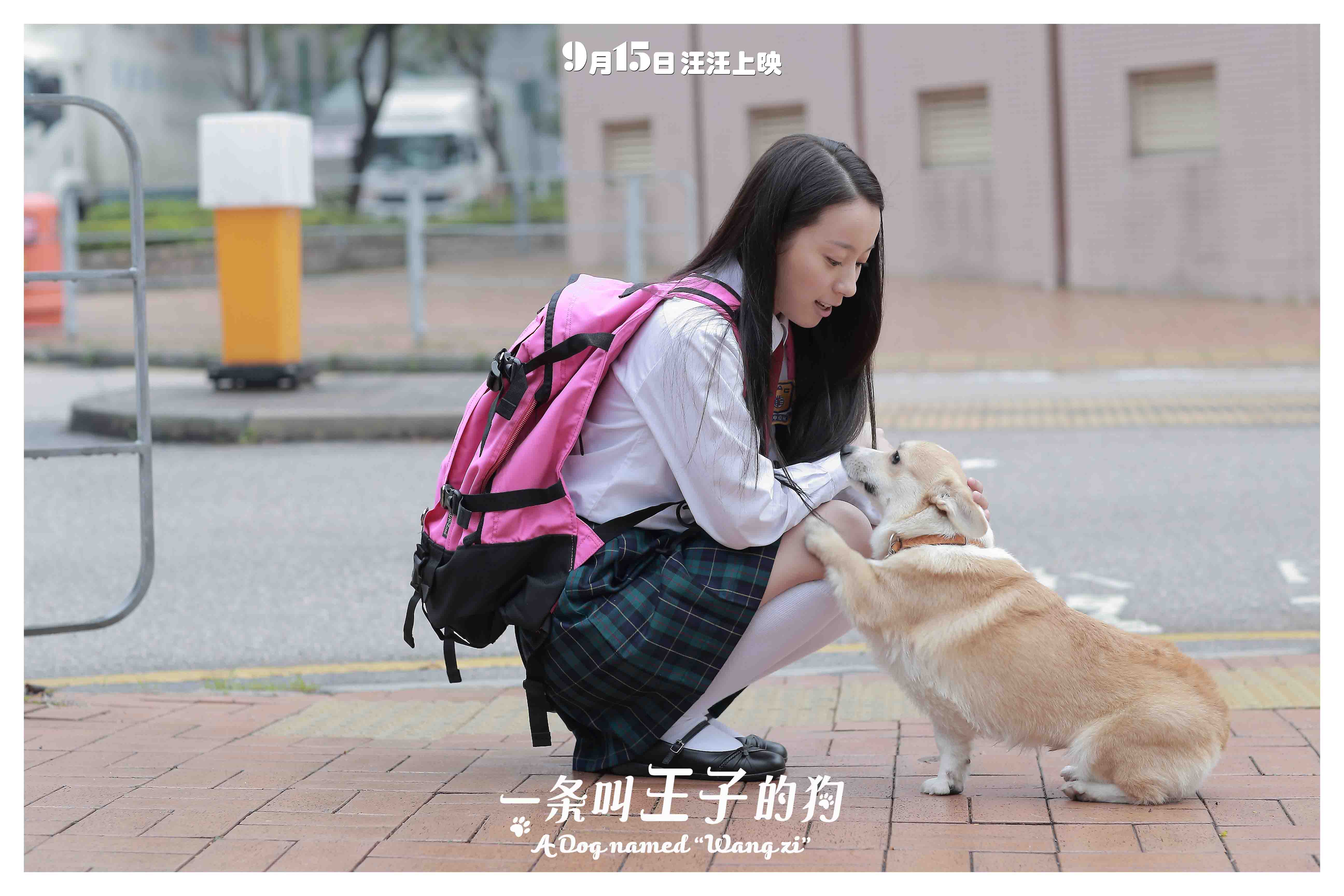 http://www.omega3-ala.com/pics/default/download/c9c2747960d6bd9455a60fee1c484a99.jpg