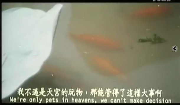 http://www.omega3-ala.com/pics/default/download/c9c778a7e1c8e947292cef7e0ea16730.jpg