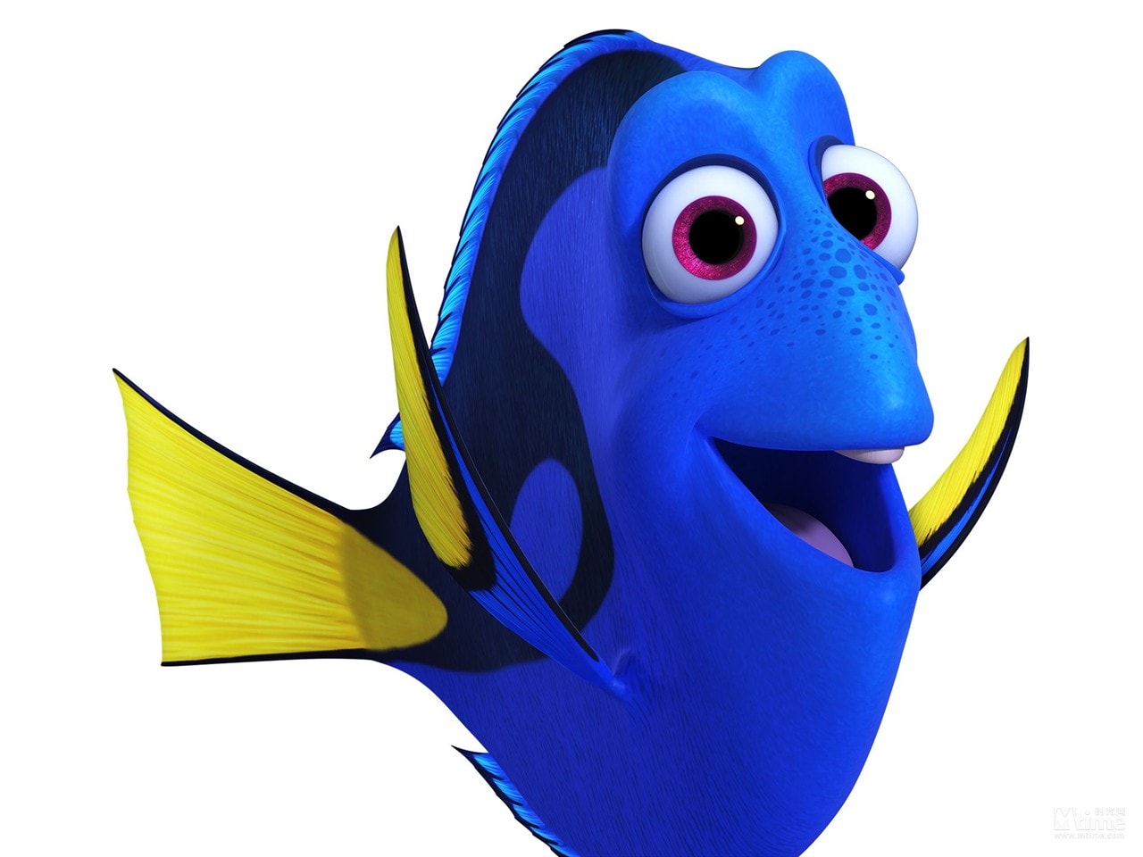 http://www.omega3-ala.com/pics/default/download/ca86d7957cc8ec755ee3e004e7769c66.jpg