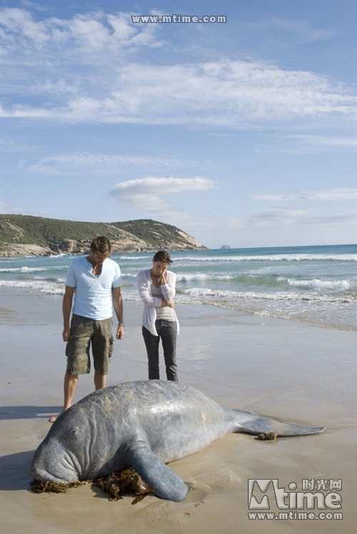 http://www.omega3-ala.com/pics/default/download/cb038b0d0835c97c7af338ad186a0dde.jpg