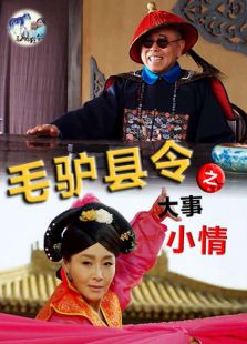 毛驢縣令之大事小情
