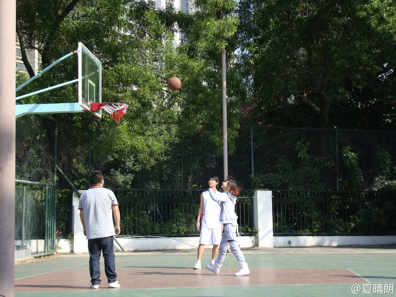 http://www.omega3-ala.com/pics/default/download/cb3481d22523e4b9c782962af14aa0ea.jpg